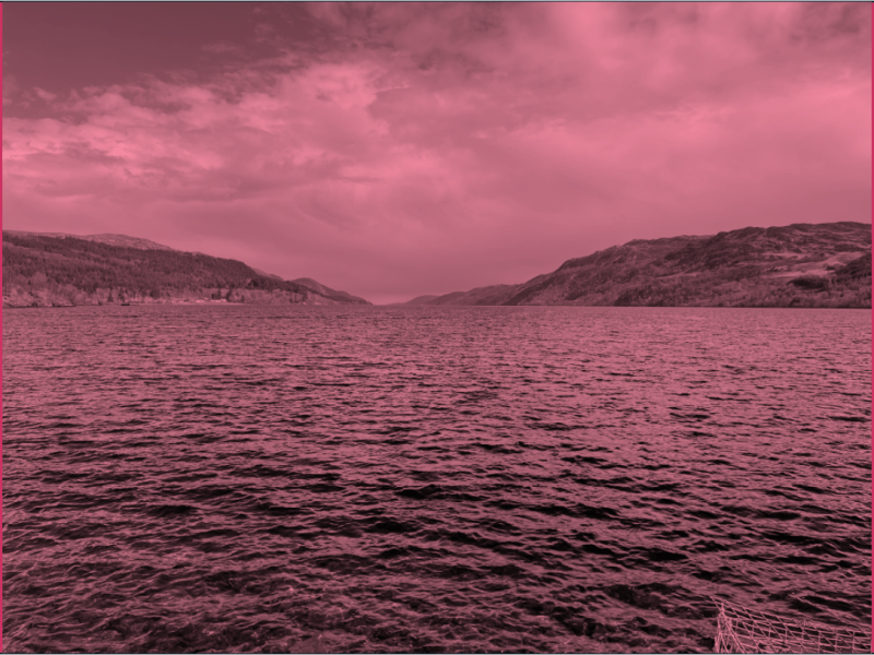 Nessie – can scientific investigation ever deny&nbsp;cryptid?